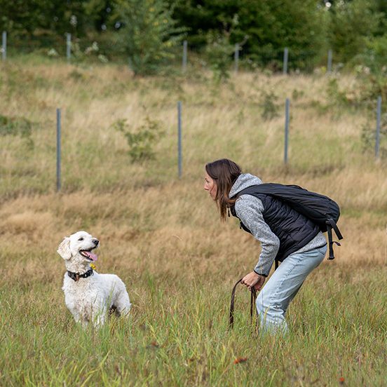 Teamarbeit zwischen Mensch und Hund Frau steht auf einer Wiese und schaut lächelnd zu ihrem Hund.